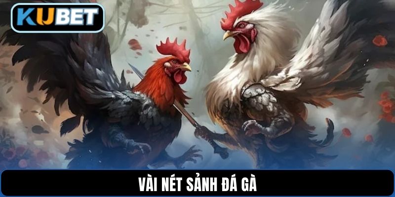 Vài nét sảnh đá gà